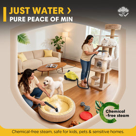 Expertcun steam cleaner with windows and upholstery accessories for deep refresh