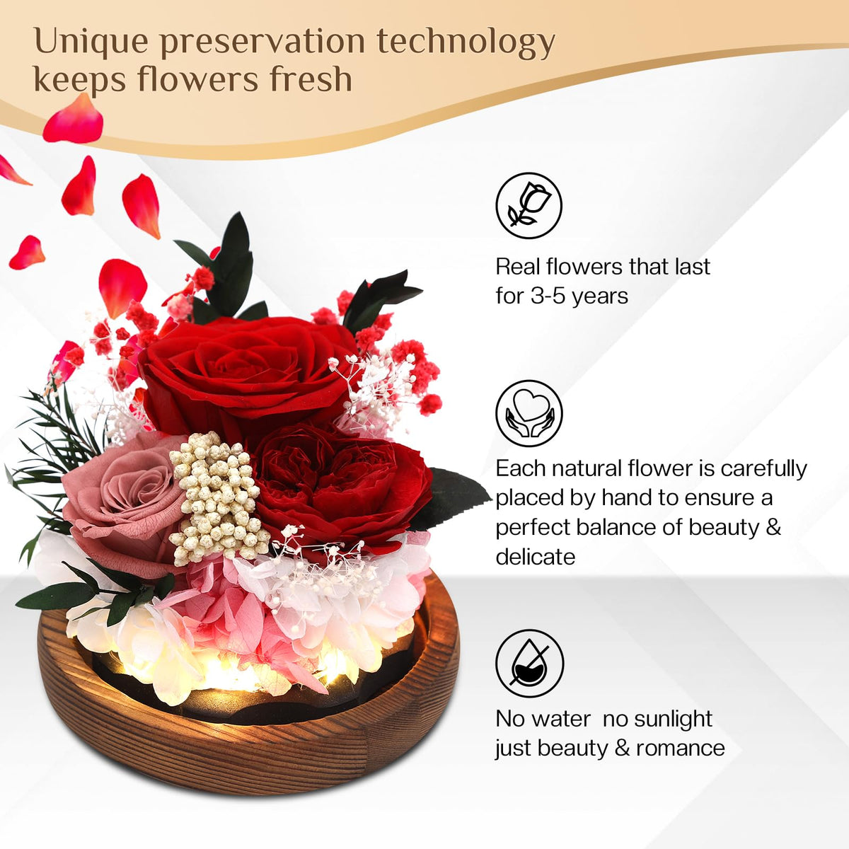 Eyesofspring rose in glass dome with LED lighting for ambient mood.