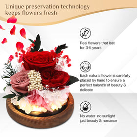 Eyesofspring rose in glass dome with LED lighting for ambient mood.
