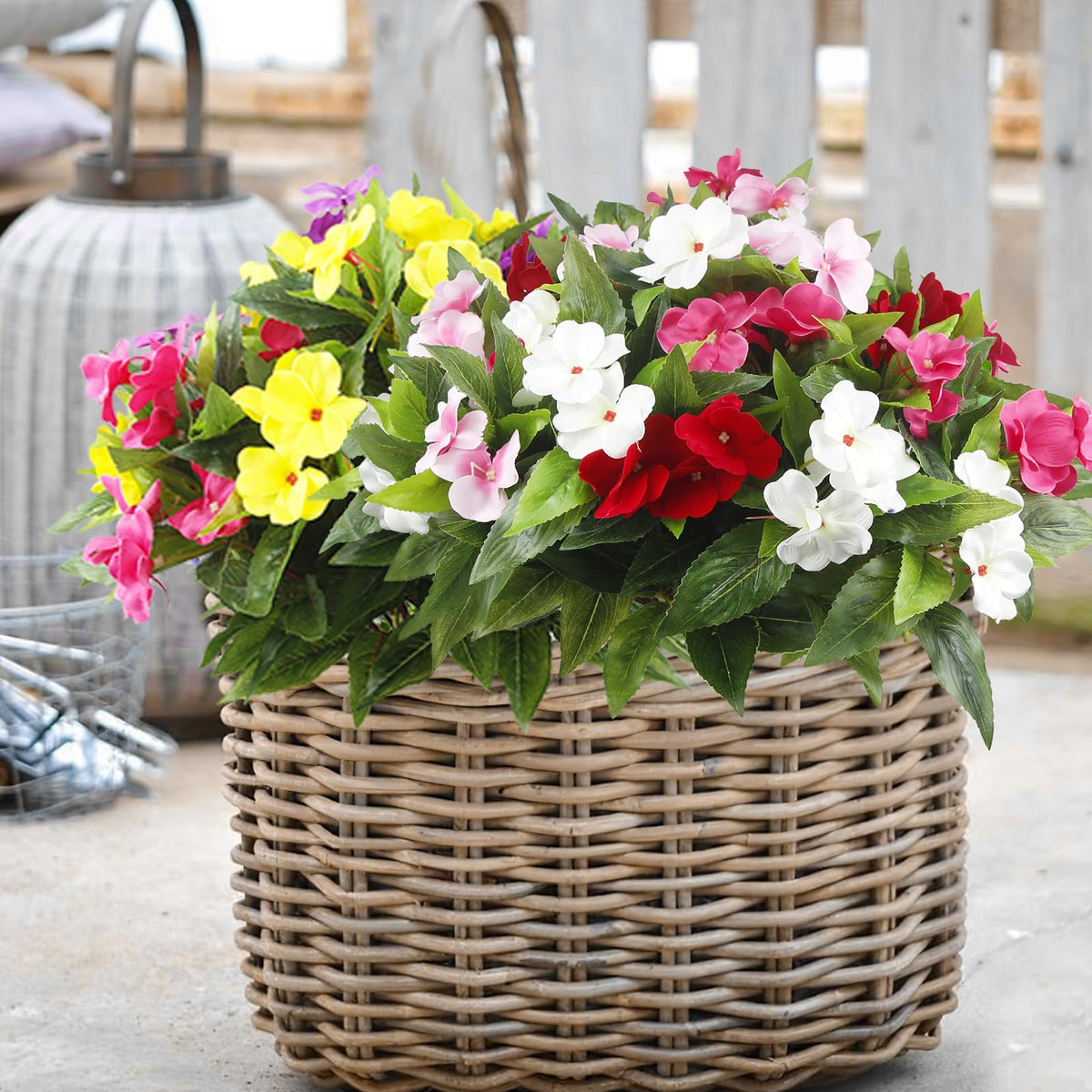 FAICOIA impatiens multicolor bouquet for porch and garden displays