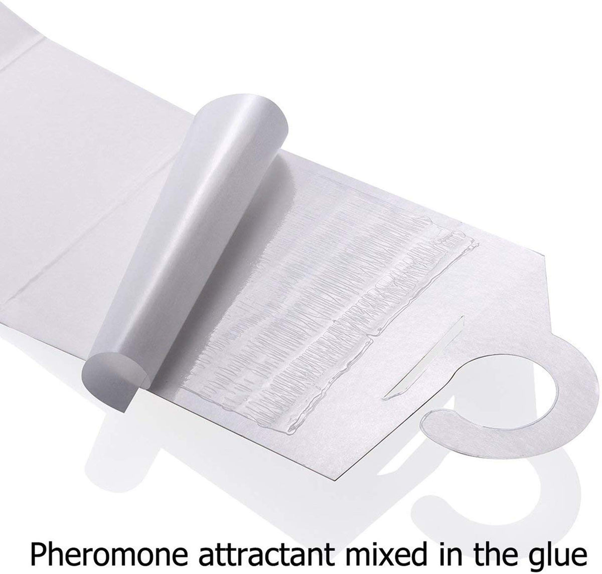Faicuk glue board close-up displays premium sticky surface for secure captures