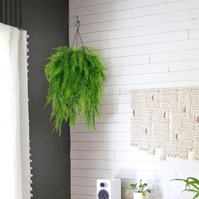 Fairblo 23.6-inch fern display adds lush texture to any space