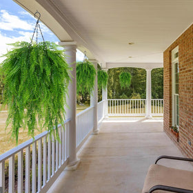 Fairblo outdoor fern decor enhances entryways with natural texture