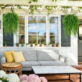 Fairblo coconut liners prevent water buildup while keeping ferns healthy