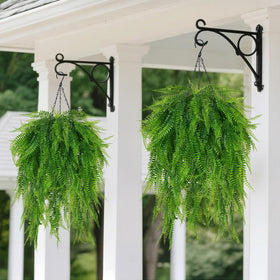 Fairblo hanging ferns add vibrant color to patios and porches