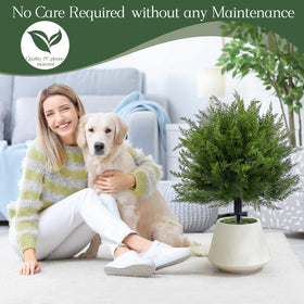 FAJUNZH UV-resistant faux plant adds year-round charm without watering.