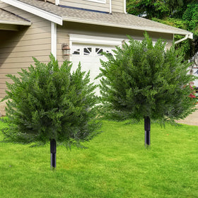 FAJUNZH cedar-topiary encourages low-maintenance greenery for patios and balconies.