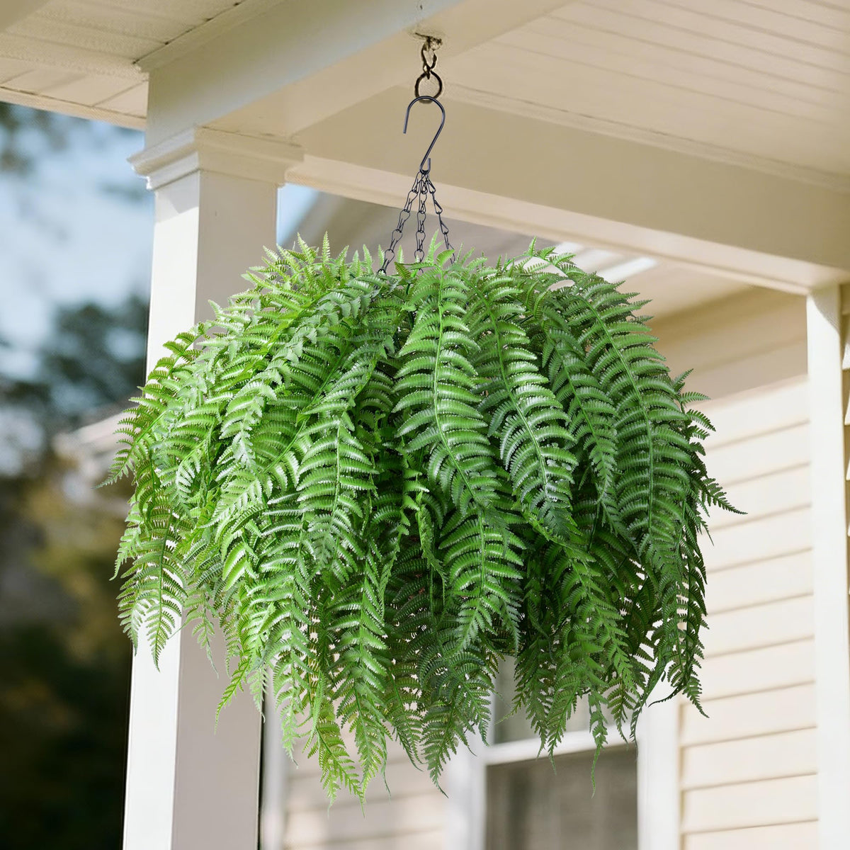 FancyPlus hanging basket ferns deliver instant decor with no watering