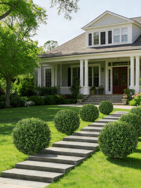 FancyPlus UV-resistant topiary resists fading across seasons for long-term display.