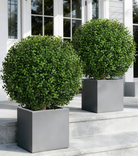 FancyPlus artificial boxwood topiary ball pink eucalyptus for romantic garden charm.