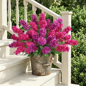 FancyPlus bendable stems enable graceful arches and curves for personalized home decor