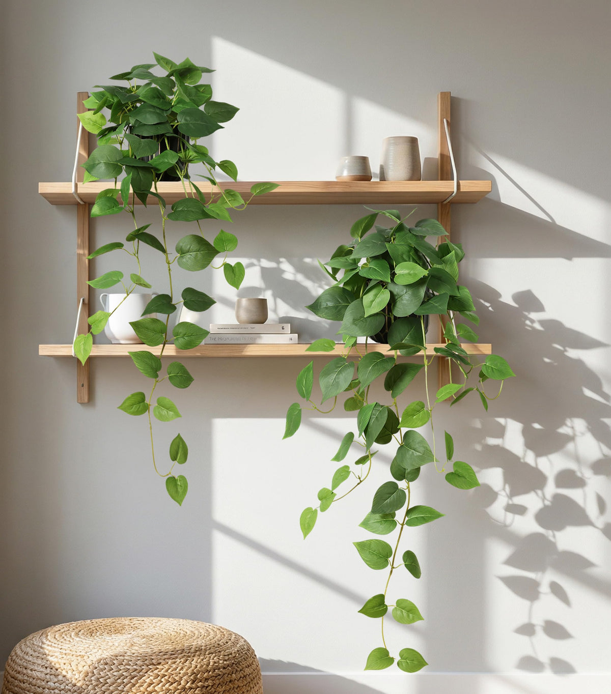 FancyPlus black gold pot 2-pack highlights stylish planter pairing.