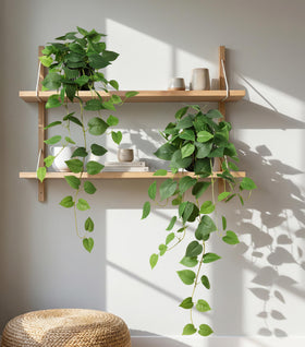 FancyPlus black gold pot 2-pack highlights stylish planter pairing.