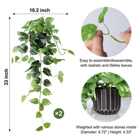 FancyPlus two black-gold pots frame the realistic pothos for chic decor