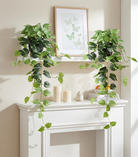 FancyPlus desk decor benefits from greenery vibe without upkeep