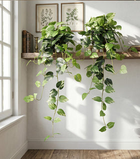 FancyPlus lifelike pothos leaves create an instant lush look