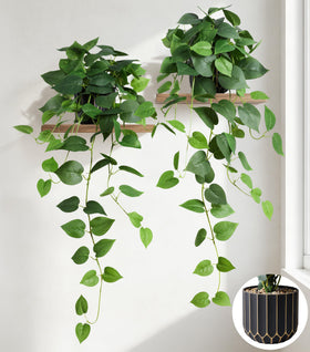 FancyPlus fake pothos 2-pack hanging plants improve year-round greenery.