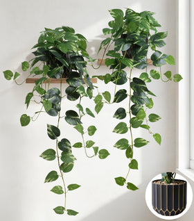 FancyPlus faux pothos hanging plants add natural flair to any space