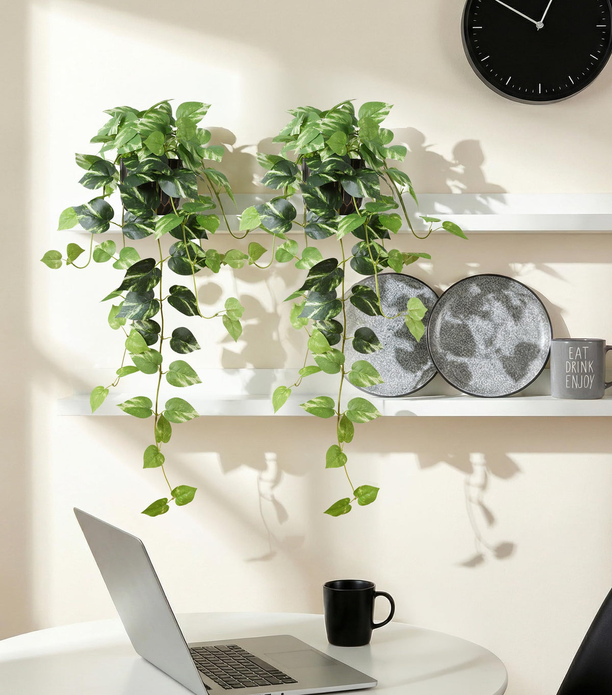 FancyPlus hanging plants suit living rooms, shelves, and desks