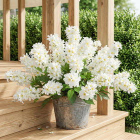 FancyPlus hyacinth-delphinium outdoor combo for versatile spaces