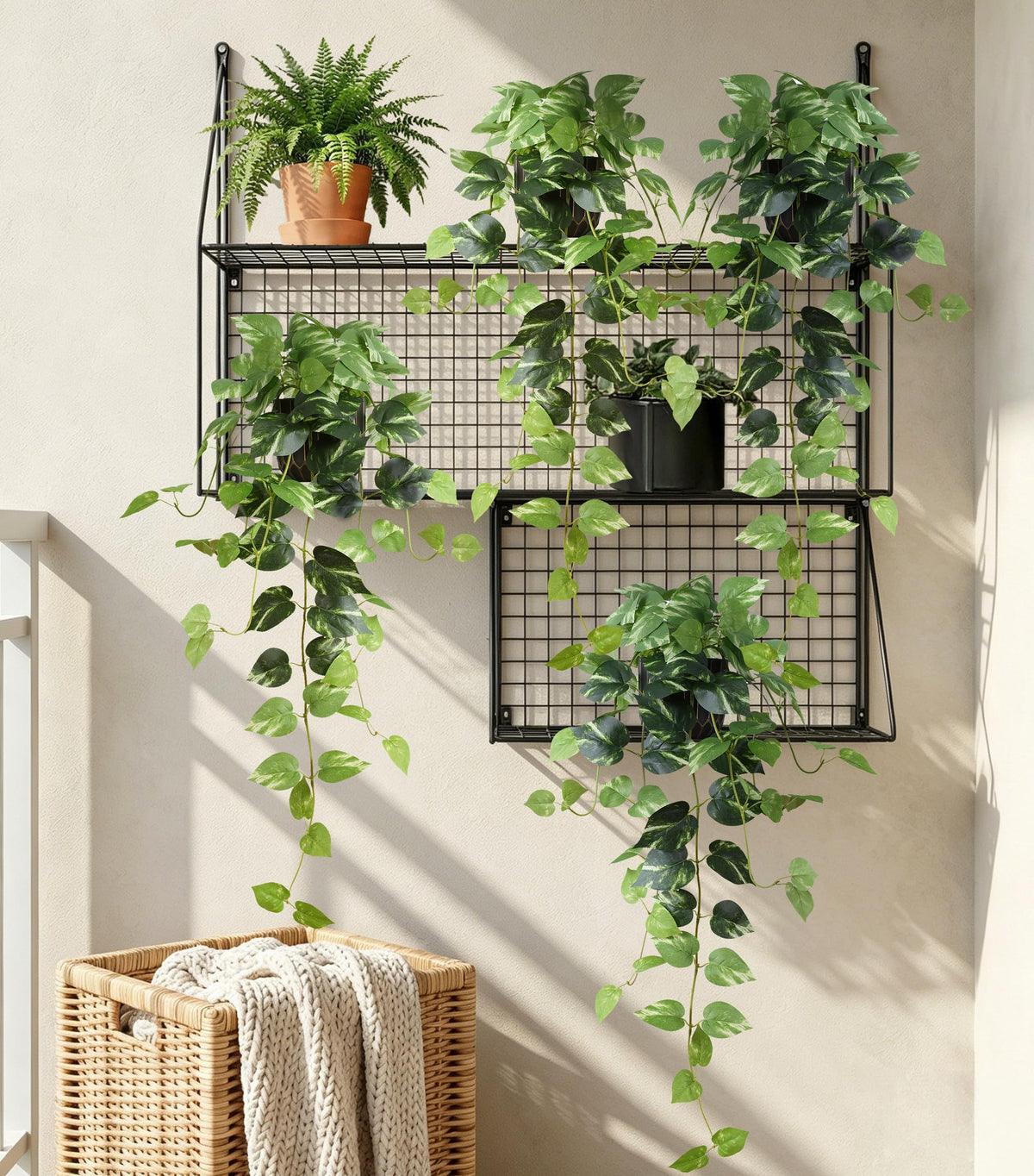 FancyPlus low-maintenance greenery requires no watering or pruning