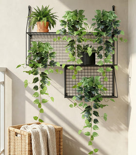 FancyPlus low-maintenance greenery requires no watering or pruning