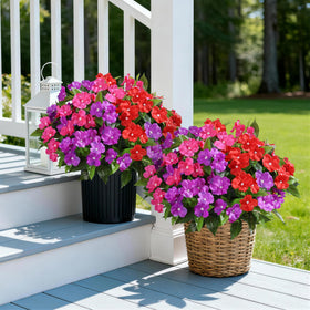 FancyPlus two-set symmetry creates balanced decor for living spaces.