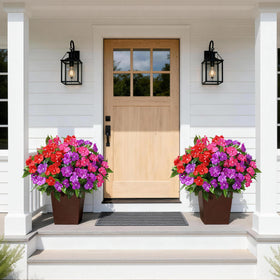 FancyPlus window-box display uses vivid greens for year-round curb appeal.