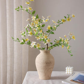 FancyPlus vase close-up shows matte frosted surface and rustic charm