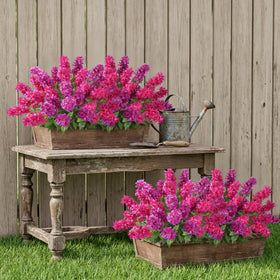 FancyPlus triple pack flowers provide versatile decor for hotels, restaurants, or event spaces