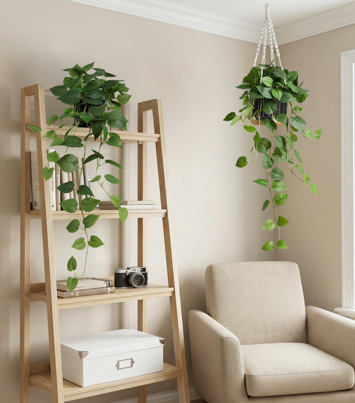 FancyPlus versatile decor for living room, office, and more.