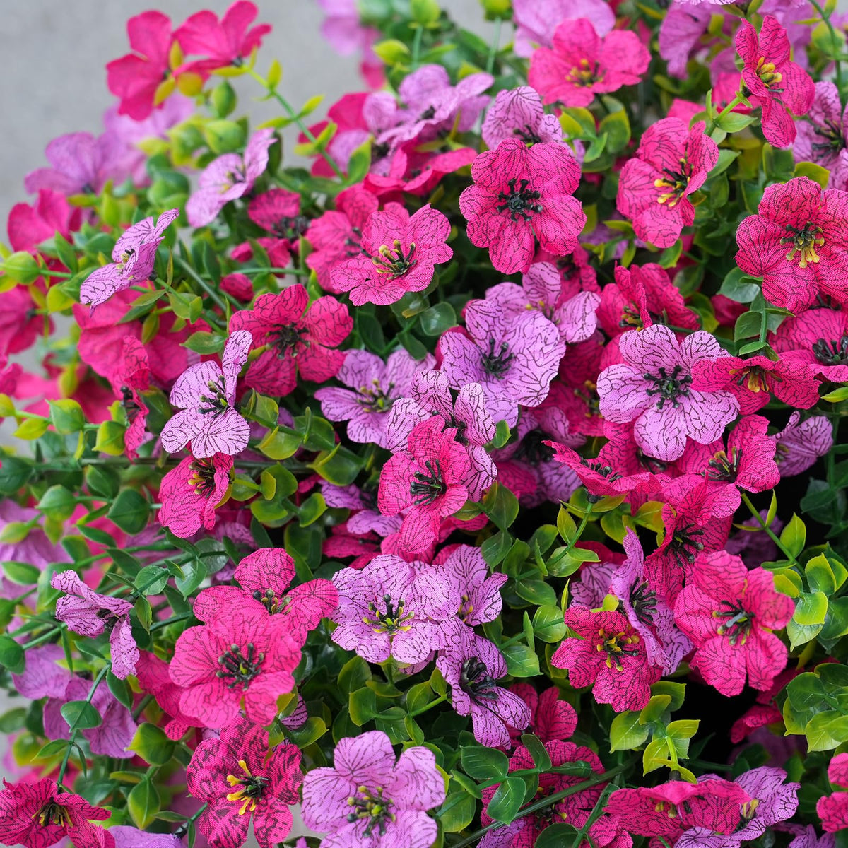 Fanfantoey outdoor flowers close-up showing silk texture and color detail