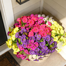 Fanfantoey removable silk blooms enable flexible styling.
