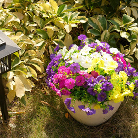 Fanfantoey flexible artificial stems for outdoor displays