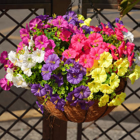 Fanfantoey no-water maintenance flowers stay fresh year-round.