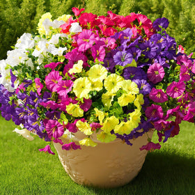 Fanfantoey outdoor artificial flowers, 16-piece set for instant curb appeal.