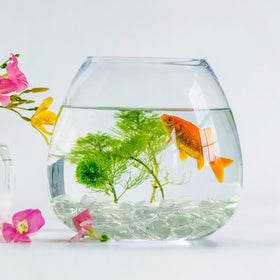 FANTIAN clear glass gems enhance floral arrangements with modern shine