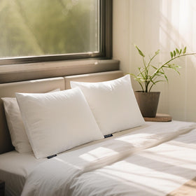 Farm To Home machine-washable pillows photographed ready for simple cleaning