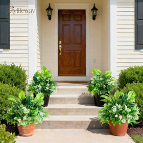 Faylifeway no-maintenance greenery stays vibrant through seasons.