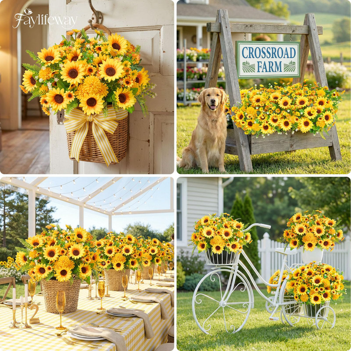 Faylifeway outdoor daisies closeup highlights realistic petals and gentle shading.