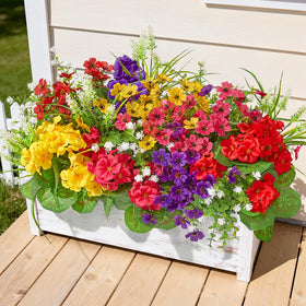 Faylifeway outdoor geranium bundle for vibrant planters and low maintenance color.