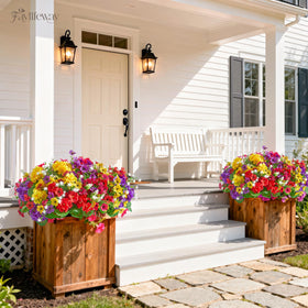 Faylifeway lavender bundle offers calming color for window boxes.