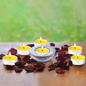 FCLAYVTS tealights for holidays and weddings adding warm illumination