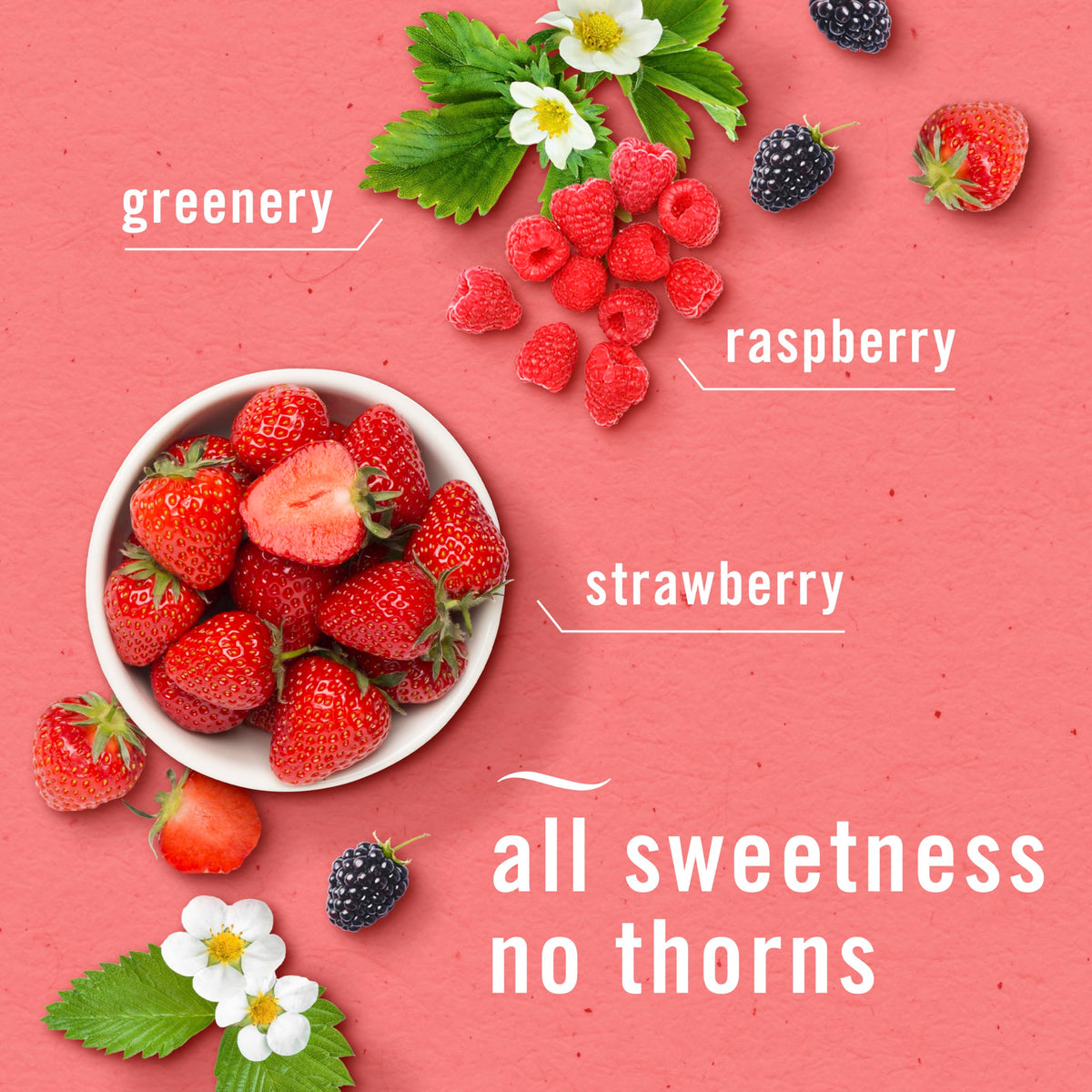 Berry Bramble odor-fighting boost highlights a juicy, inviting fragrance for home spaces.