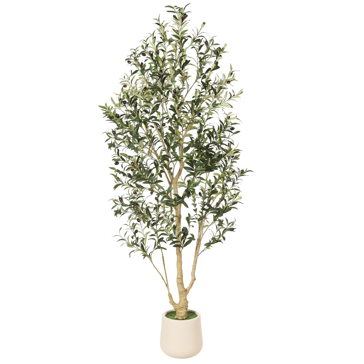 feelead 6ft olive tree in planter adds year-round greenery to living spaces
