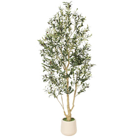 feelead 6ft olive tree in planter adds year-round greenery to living spaces