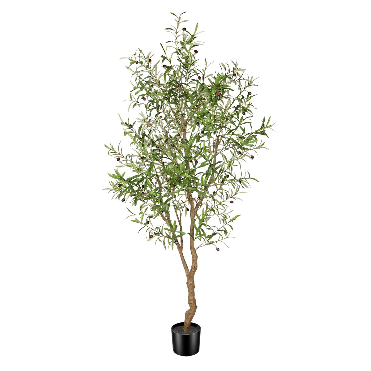 FEELEAD 7ft olive tree full view enhances living room decor with lifelike greenery.