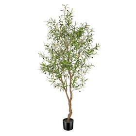 FEELEAD 7ft olive tree full view enhances living room decor with lifelike greenery.