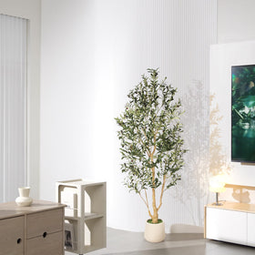 feelead office decor olive-tree enhances professional spaces with natural accents