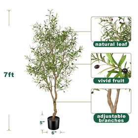 FEELEAD olive tree fruits detail highlights convincing fruit accents for authenticity.